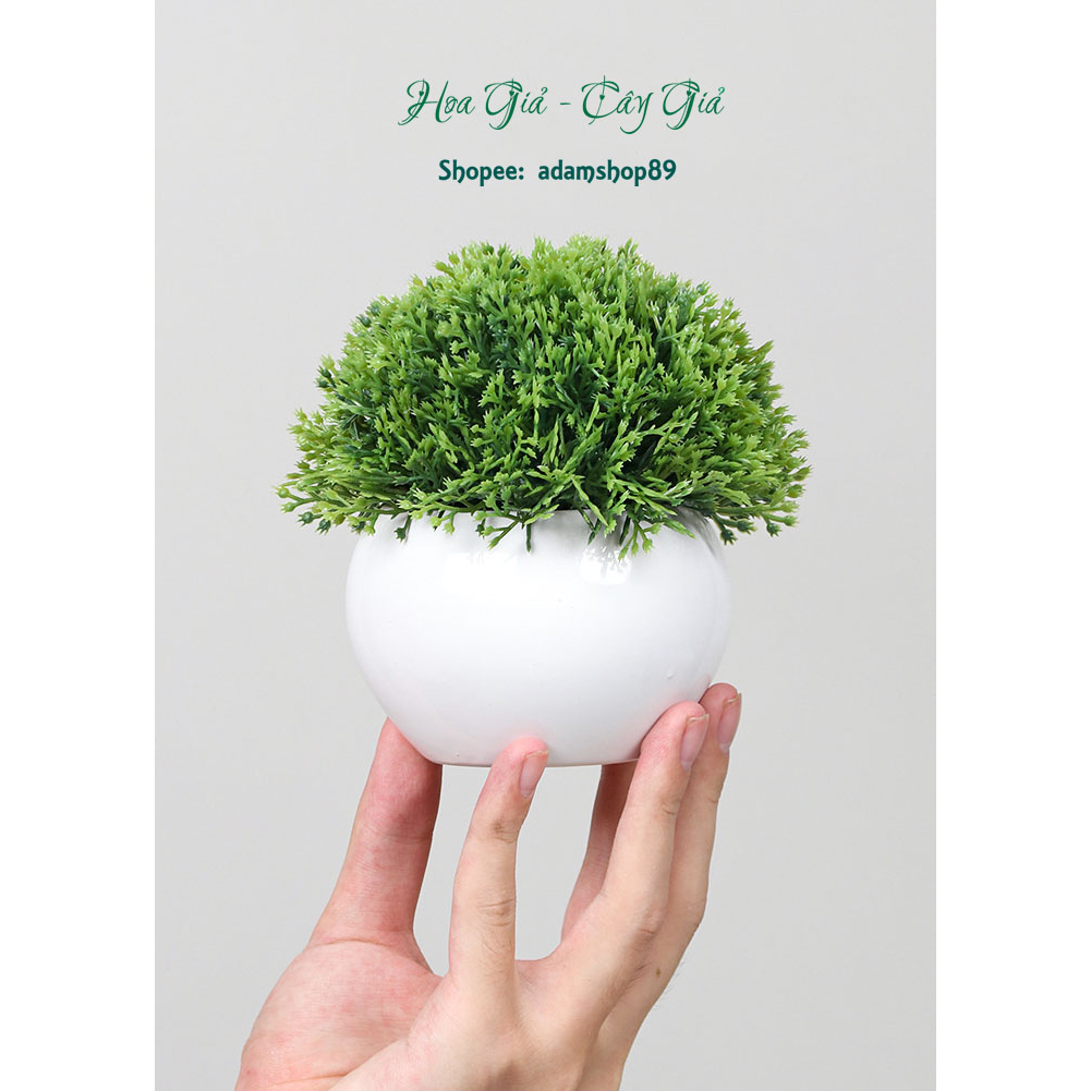 Chậu cây cỏ xanh giả bằng nhựa 13cm kèm chậu để bàn làm việc decor trang trí nhà cửa văn phòng quán cafe