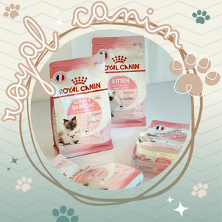 Thức ăn hạt dành cho mèo con - Royal canin Kitten