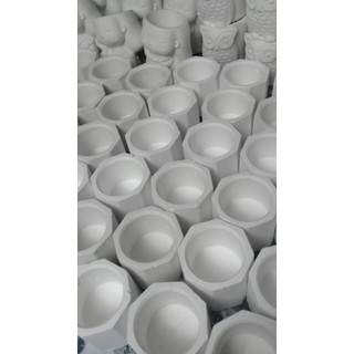Chậu trồng cây mini sen đá, cây cảnh
