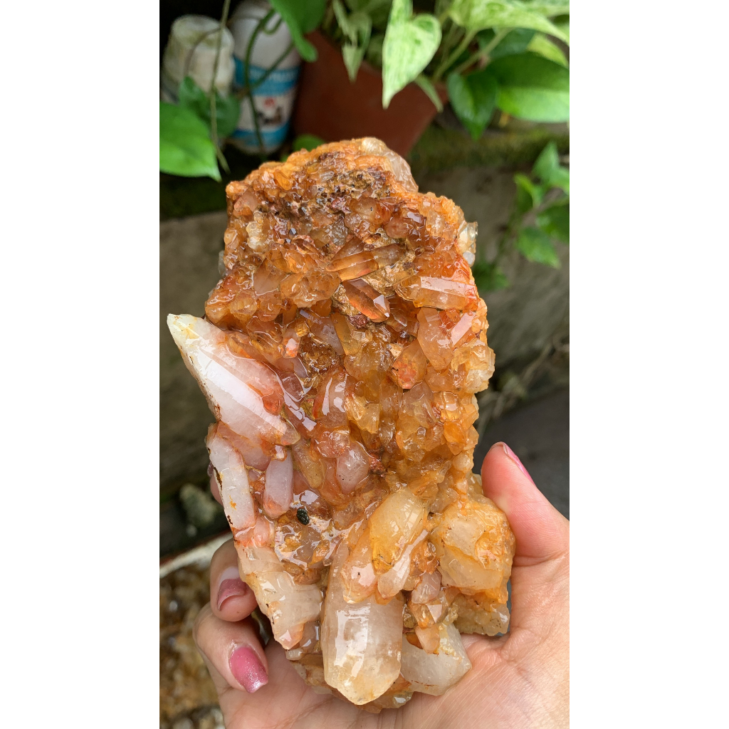 Ổ stone tự nhiên thạch anh vàng cam tự nhiên sưu tầm 8