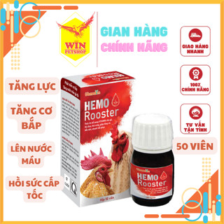 B12 cho gà đá - Giúp gà tăng bo lớn, nạp pin nhanh, lên nước máu, sung khỏe