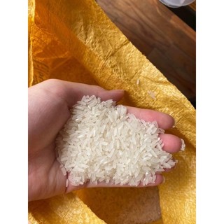 10kg gạo tám thơm điện biên