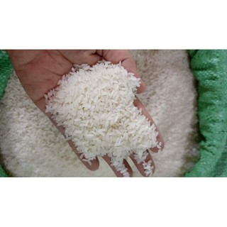 10kg gạo tám thơm điện biên