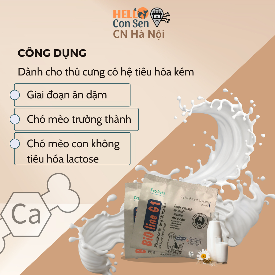 Combo sữa không lactose BIOLINE G1 và Canxi hữu cơ Ecopets 5gr bổ sung canxi dinh dưỡng cho chó mèo bầu chó mèo con