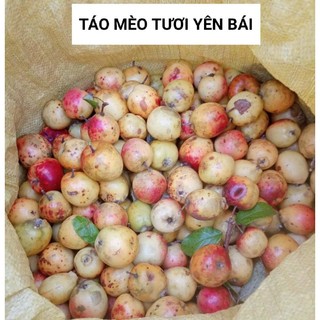 Táo mèo tươi Yên Bái ngâm rượu túi 1kg
