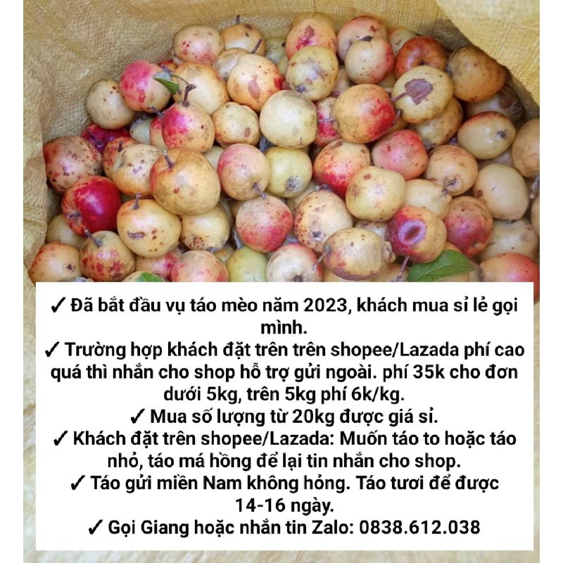 Táo mèo tươi Yên Bái ngâm rượu túi 1kg