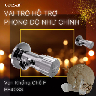 Van Khống Chế Inox - BF403S