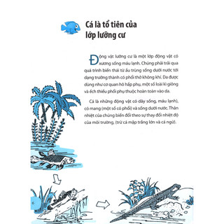 Sách - Chìa Khóa Vàng - Động Vật