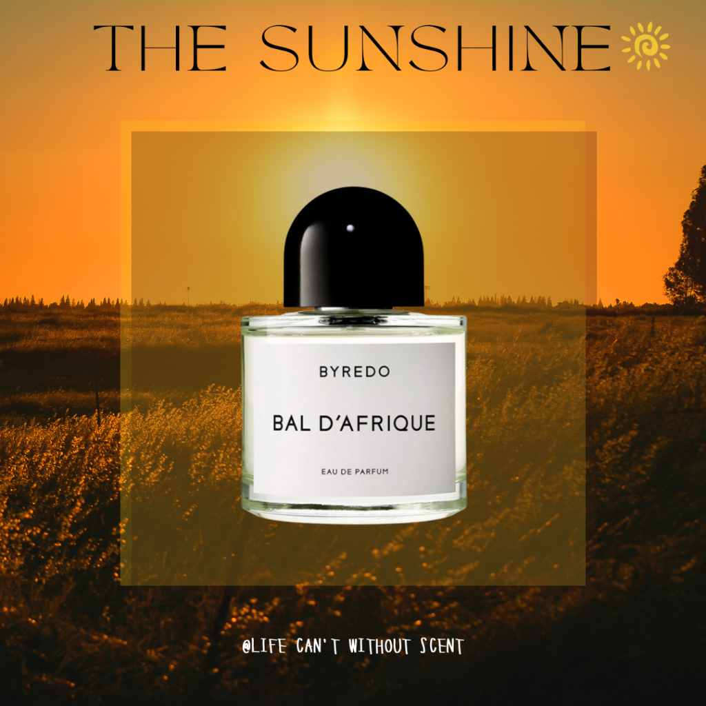 Nước hoa By.re.do Bal D'afrique 5ml/10ml/20ml [ 𝓣𝓱𝓮𝓢𝓾𝓷𝓢𝓱𝓲𝓷𝓮 ]