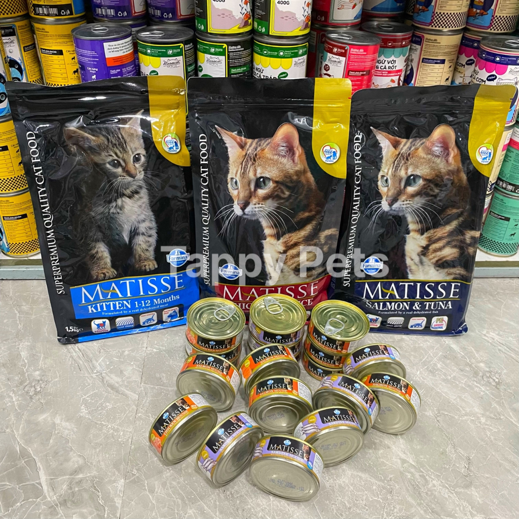 🔥  Hạt MATISSE Cao Cấp Cho Mèo Con Và Mèo Trưởng Thành - Tặng 1 Lon Pate Matisse 3 Vị Thơm Ngon