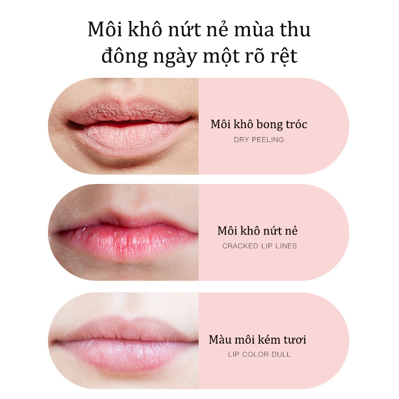 Son Dưỡng Môi Hồng Mềm Mịn BEOTUA - Kem BEOTUA Collagen Dưỡng Ẩm Chống Nứt Nẻ Môi