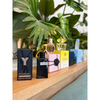 Nước hoa mini ysl y edp intense 7,5ml