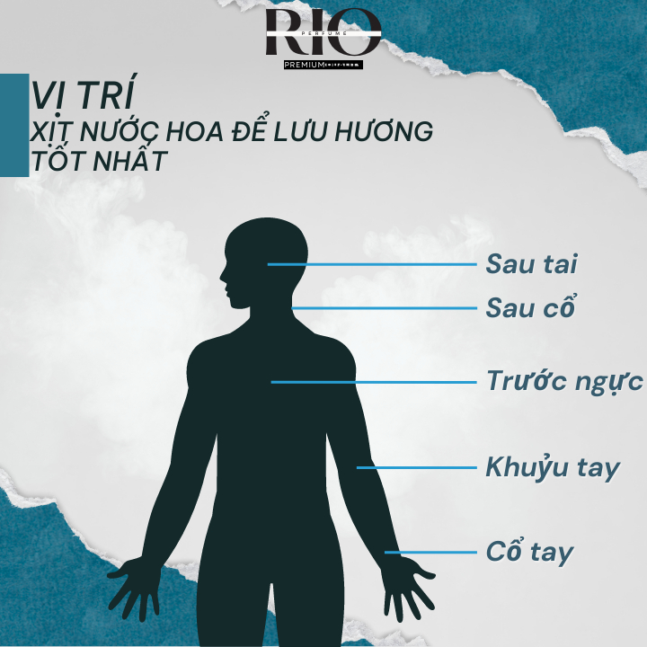 Nước hoa unisex Le Labo Santal 33 EDP chiết 10ml mini chính hãng sang trọng, gợi cảm, tinh tế - rio.cop