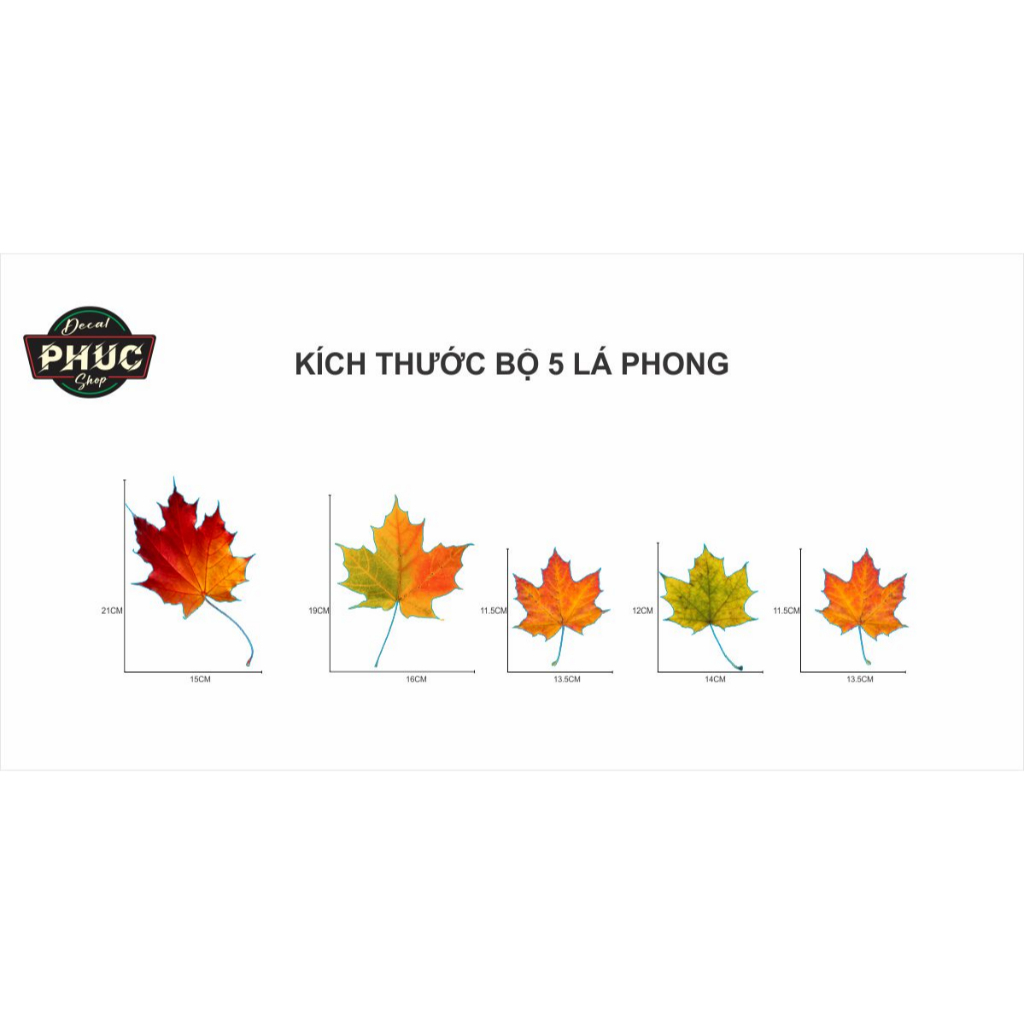 Decal dán che vết trầy vết xước xe ô tô xe hơi xe máy hình lá phong đẹp nét