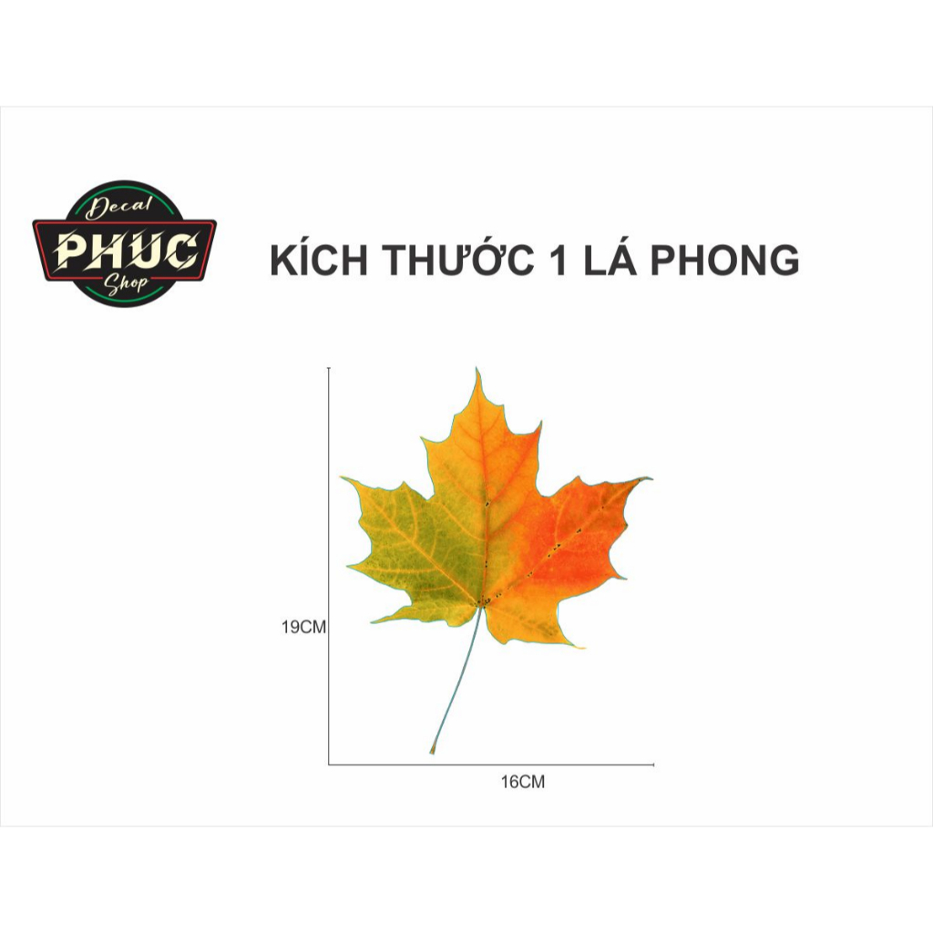 Decal dán che vết trầy vết xước xe ô tô xe hơi xe máy hình lá phong đẹp nét