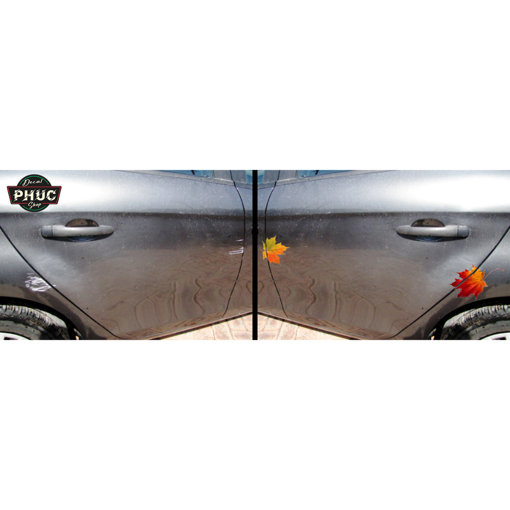 Decal dán che vết trầy vết xước xe ô tô xe hơi xe máy hình lá phong đẹp nét