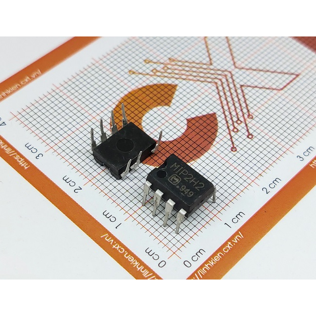 MIP2H2 DIP-7
