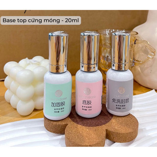 Base top hoa Hồng mới 20ml