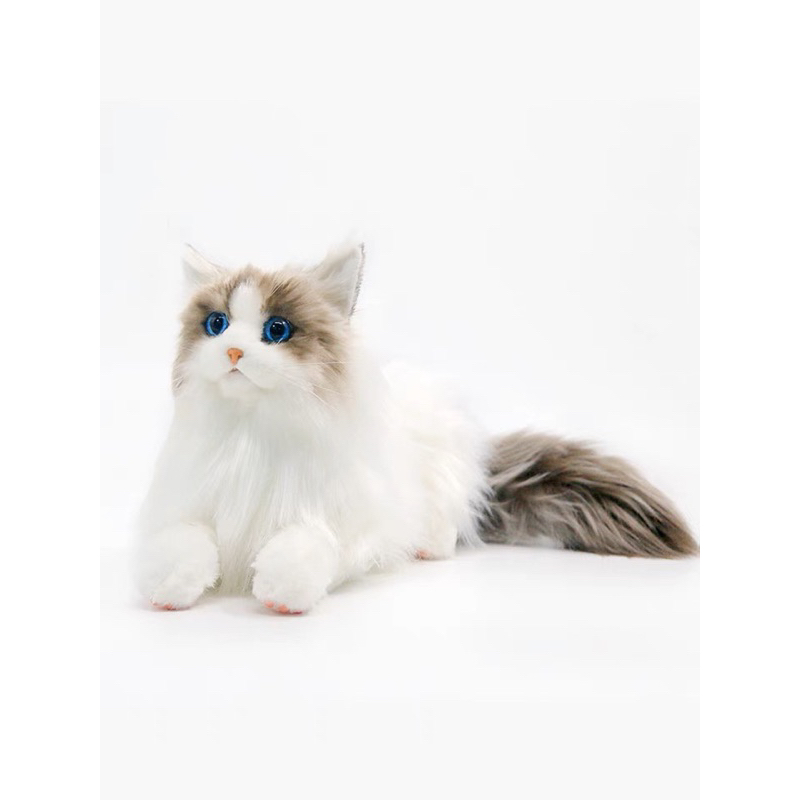 Mèo thú bông siêu dễ thương