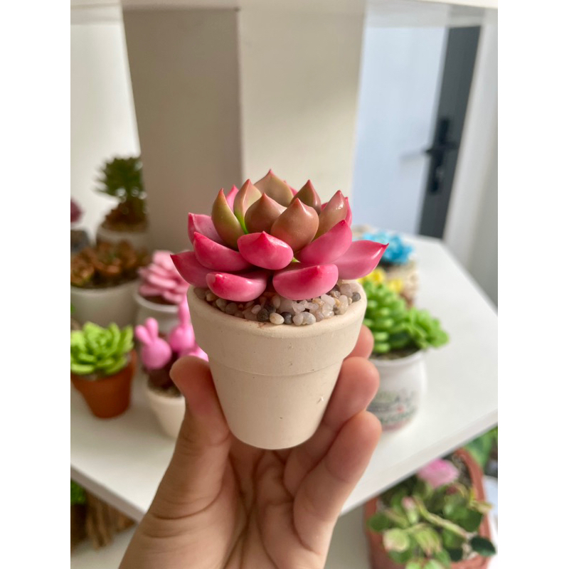 Chậu sen đá mini làm bằng đất sét đường kính 5cm