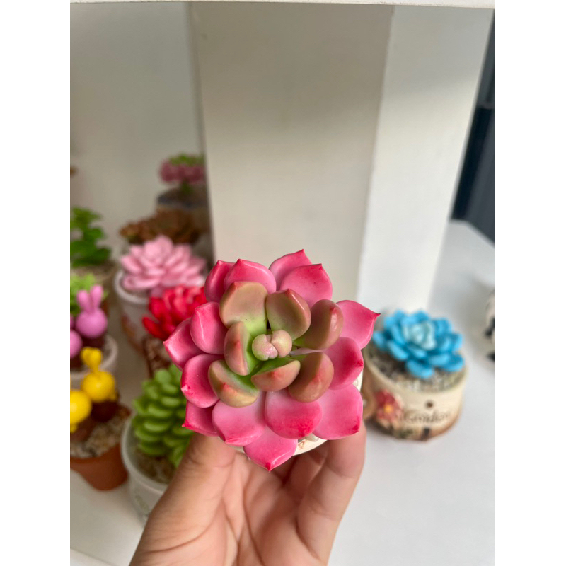 Chậu sen đá mini làm bằng đất sét đường kính 5cm