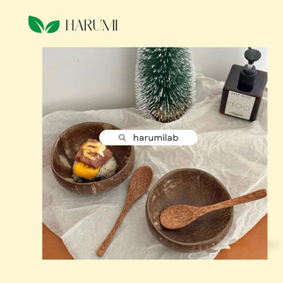 BỘ CHÉN GÁO DỪA  (11 -12cm)  + MUỖNG DỪA