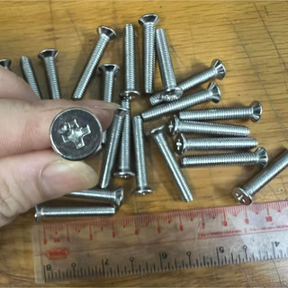 Combo 10 Ốc inox pake đầu bằng inox M6x30