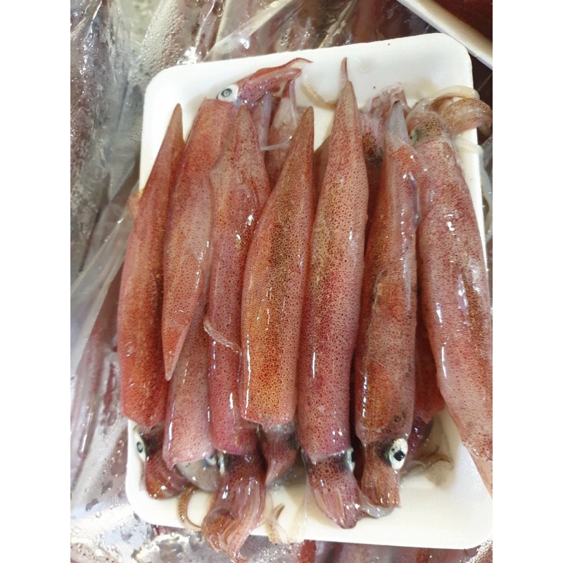 Mực Ghim sạch tươi 1kg 2 khay chuẩn không mạ đá