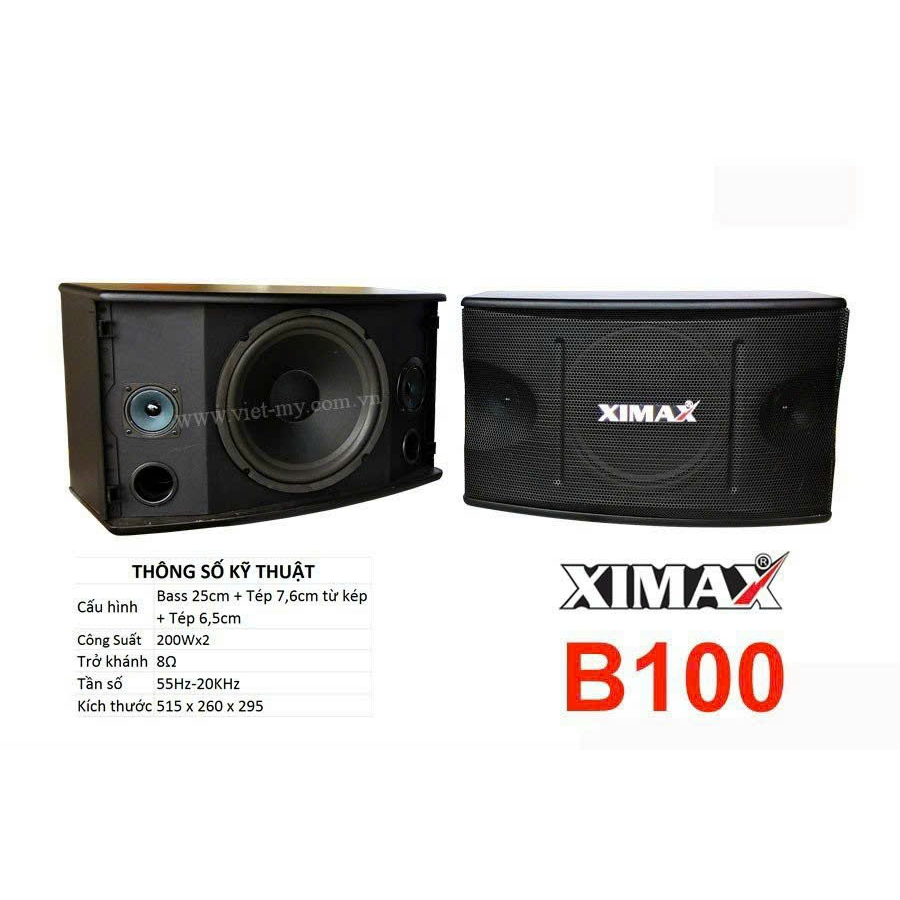 Loa treo tường bass 25 3 đường tiếng Ximax B100 mành sắt  chuyên nghe nhạc và karaoke (1 đôi)