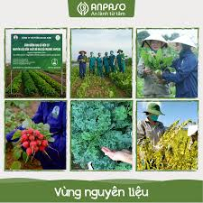 Mì Củ Cải Đỏ Và Củ Dền Organic Anpaso 120G Ăn Dặm Cho Bé Từ 6 Tháng Tuổi, Bổ Sung Chất Xơ, Cải Thiện Hệ Tiêu Hóa