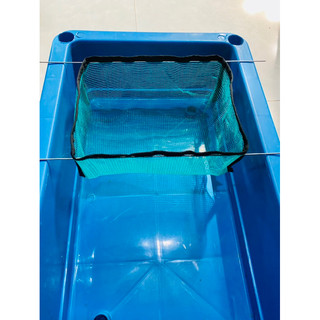 Lồng lưới đẻ cho cá Guppy,cá cảnh ( lưới 3 li)( Giao Hoả Tốc)