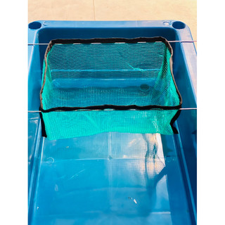 Lồng lưới đẻ cho cá Guppy,cá cảnh ( lưới 3 li)( Giao Hoả Tốc)