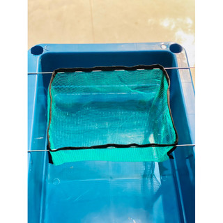 Lồng lưới đẻ cho cá Guppy,cá cảnh ( lưới 3 li)( Giao Hoả Tốc)