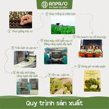 Mì Rau Củ Dinh Dưỡng Organic Anpaso Ăn Dặm Cho Bé Từ 6 Tháng Tuổi, Bổ Sung Dưỡng Chất 120g/300g