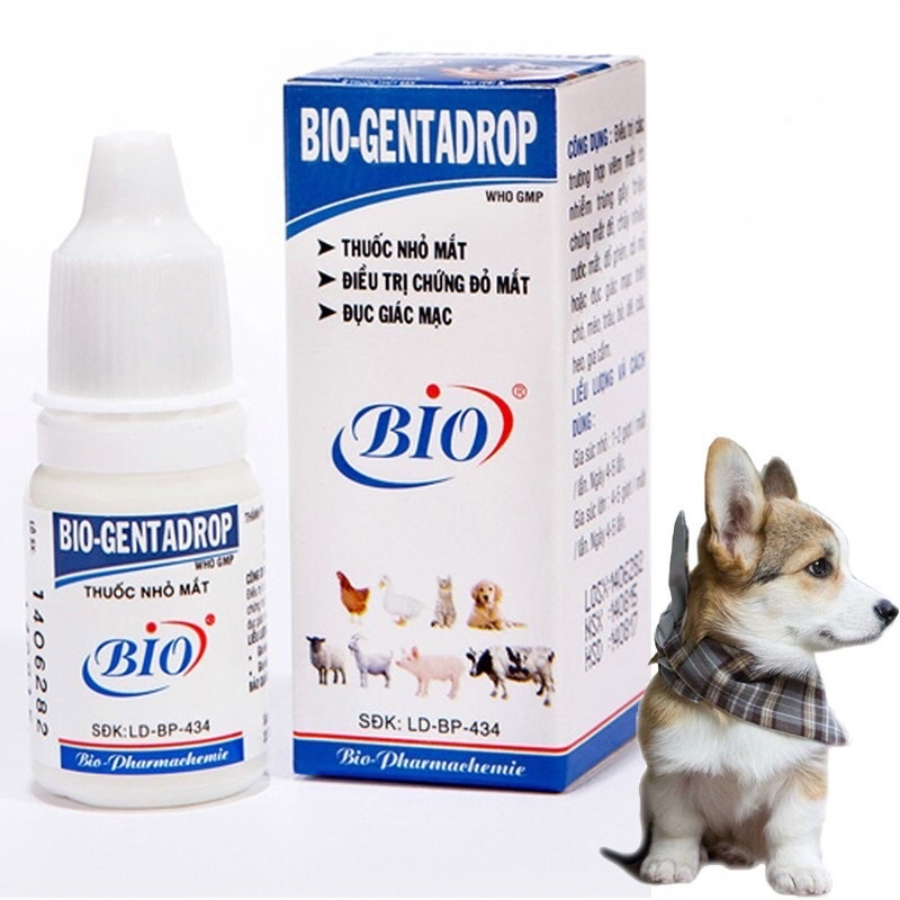 Nhỏ Mắt Chó Mèo Bio Genta Drop Chai 10ml - Trị Đau Mắt Viêm Đỏ Ngứa Vệ Sinh Mắt Thú Cưng | Muchinshop