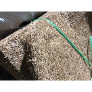Dừa thảm 50cm x 50cm