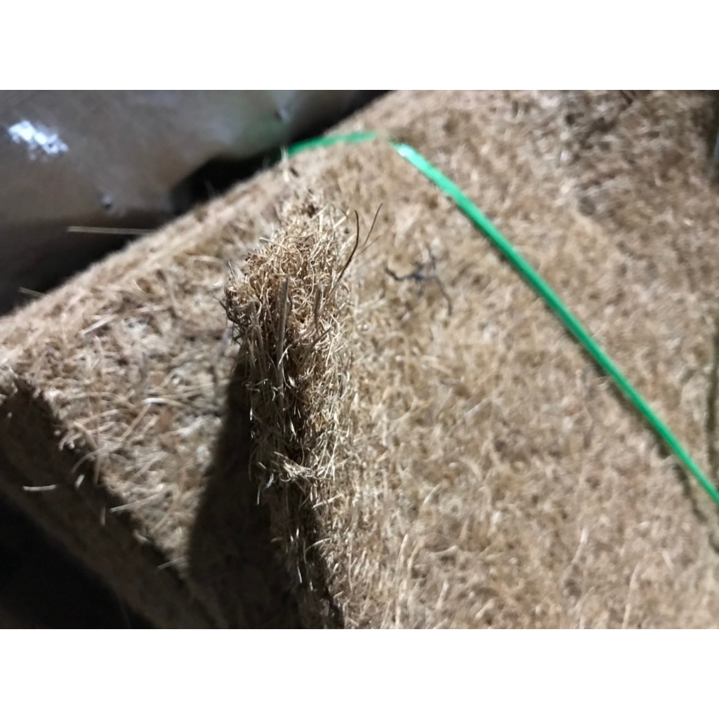 Dừa thảm 50cm x 50cm