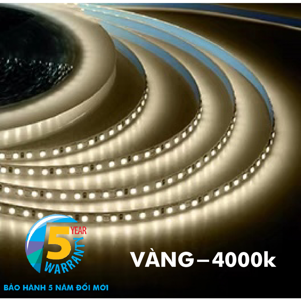 DÂY LED DÁN 12V - 120 /180/240/ 5M , CHỈ SỐ CHỐNG NƯỚC IP20 ÁNH SÁNG TRẮNG -TRUNG TÍNH-VÀNG - XANH -XANH LÁ