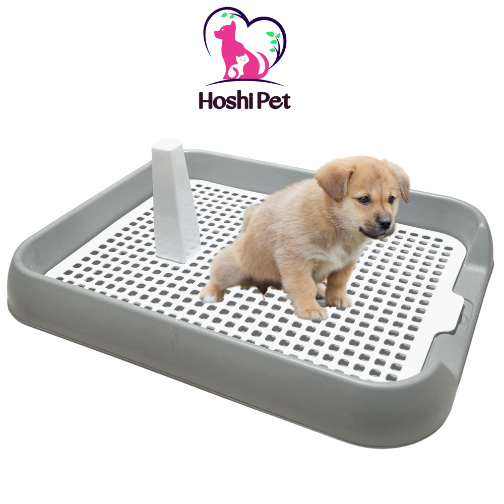 Khay vệ sinh cho chó nhỏ thành thấp Hoshi Pet KC06 - Khay đái cho chó