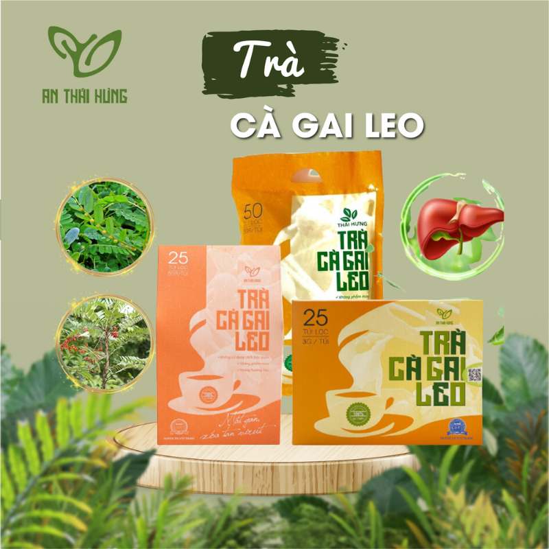 Trà cà gai leo An Thái Hưng thải độc mát gan thanh lọc cơ thể loại 25 túi - 50 túi