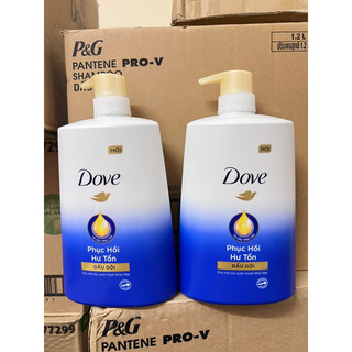 Dầu Gội Dove 880g