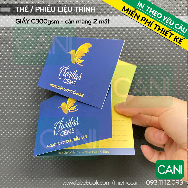 500 cái Thẻ liệu trình Phiếu Spa In theo yêu cầu Phiếu quà tặng Thẻ giảm giá Card gập đôi CANI