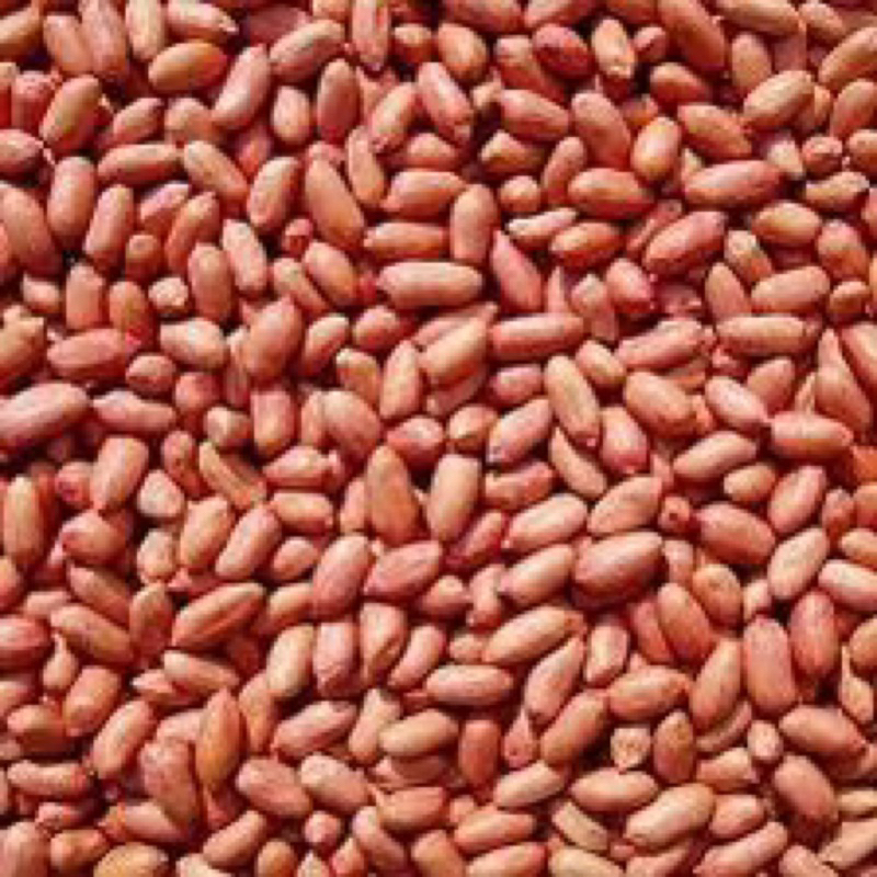 1kg Đậu Phộng Sống ( Lạc )