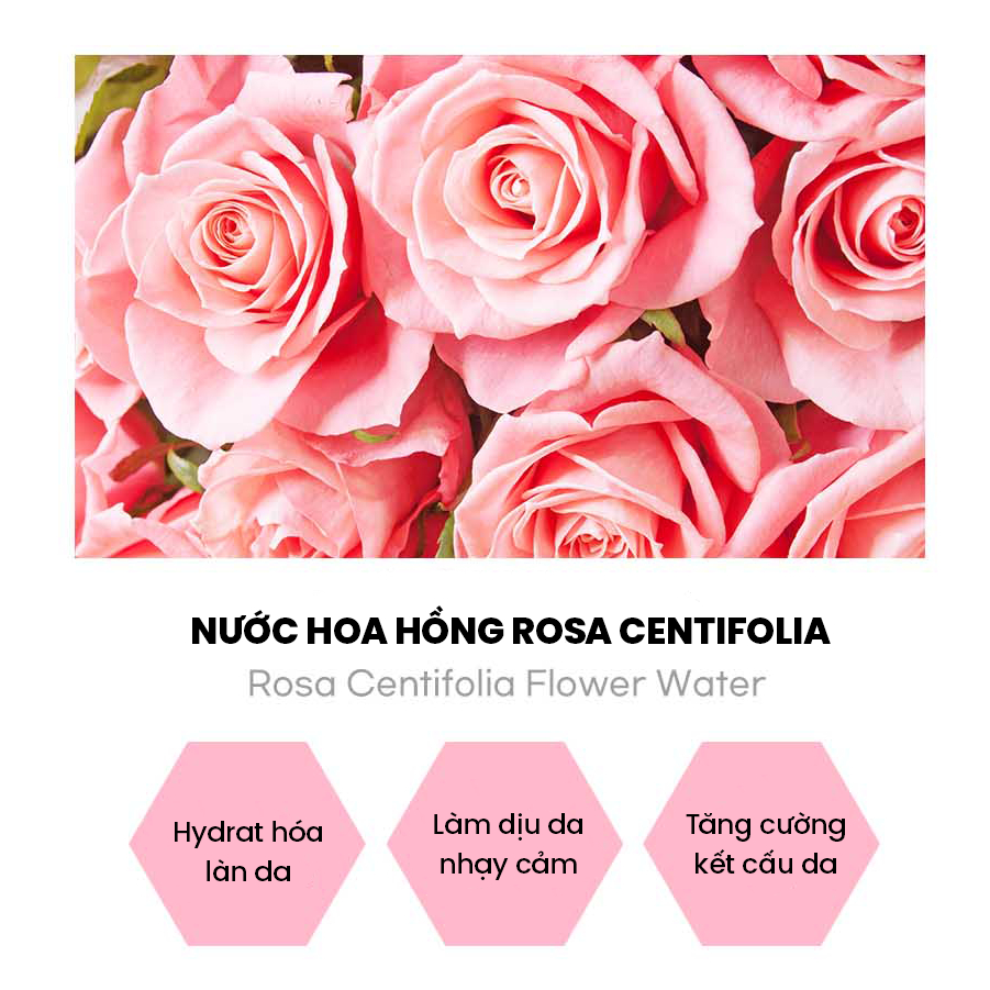 Sữa tắm hoa hồng WHISIS Nature & Parfum Body Wash Rose Blossom 750ml