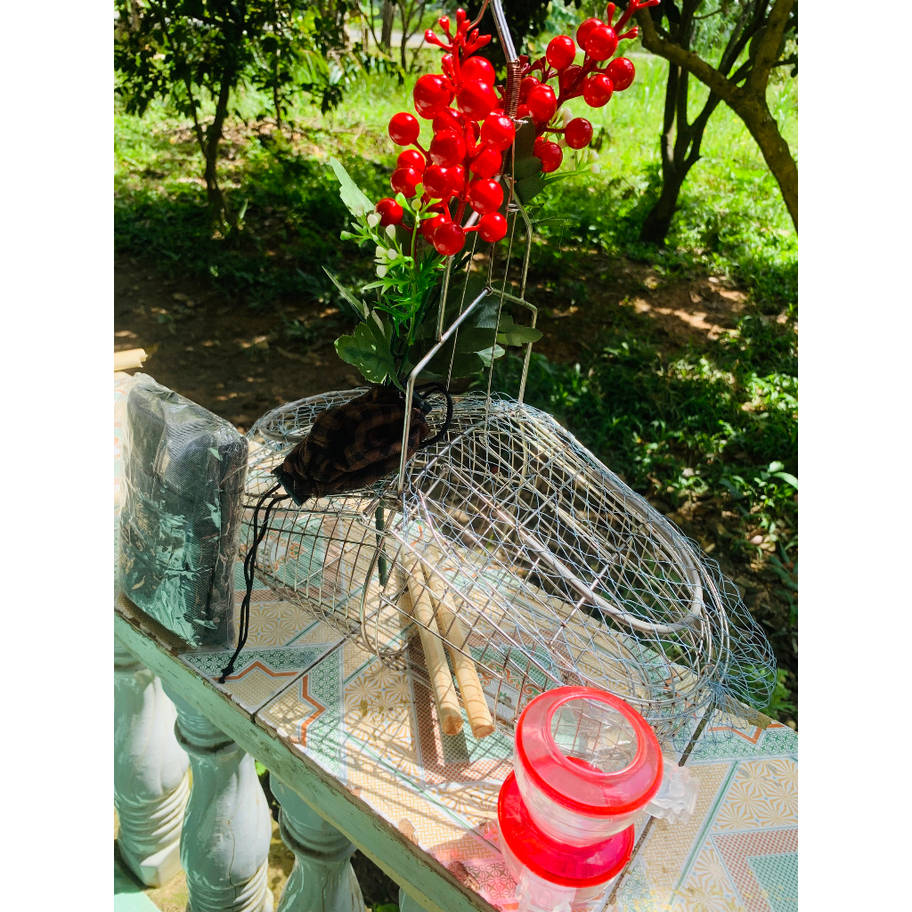 Lồng bẫy chim khuyên, chim hút mật Inox tặng kèm phụ kiện