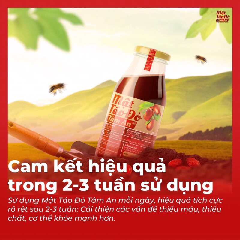 Mật táo đỏ Tâm An - Bổ máu, giảm mệt mỏi, da hồng hào - Cam kết chính hãng, date xa
