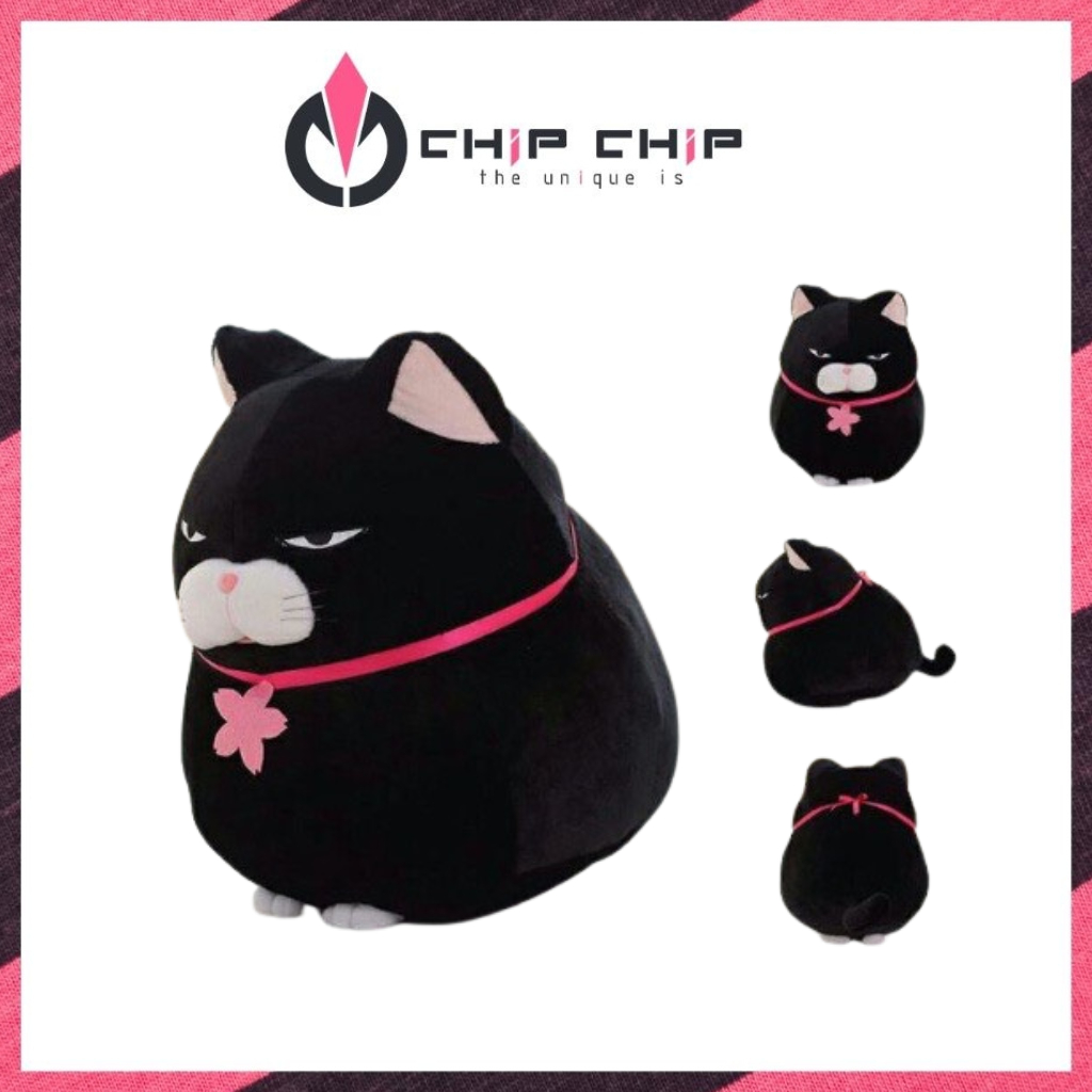 Gấu Bông Mèo Đen Jenifer, Thú Bông Đồ Chơi Cho Bé