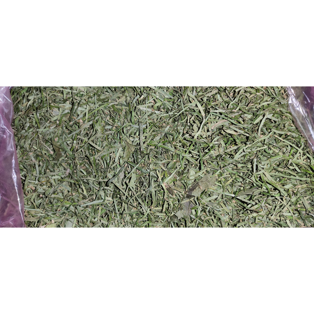 Lá đắng  Nghệ An