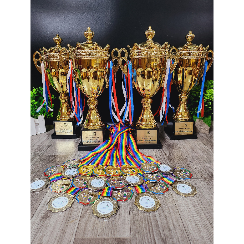 HUY CHƯƠNG MÔN CHẠY HUY CHƯƠNG GIẢI ĐIỀN KINH