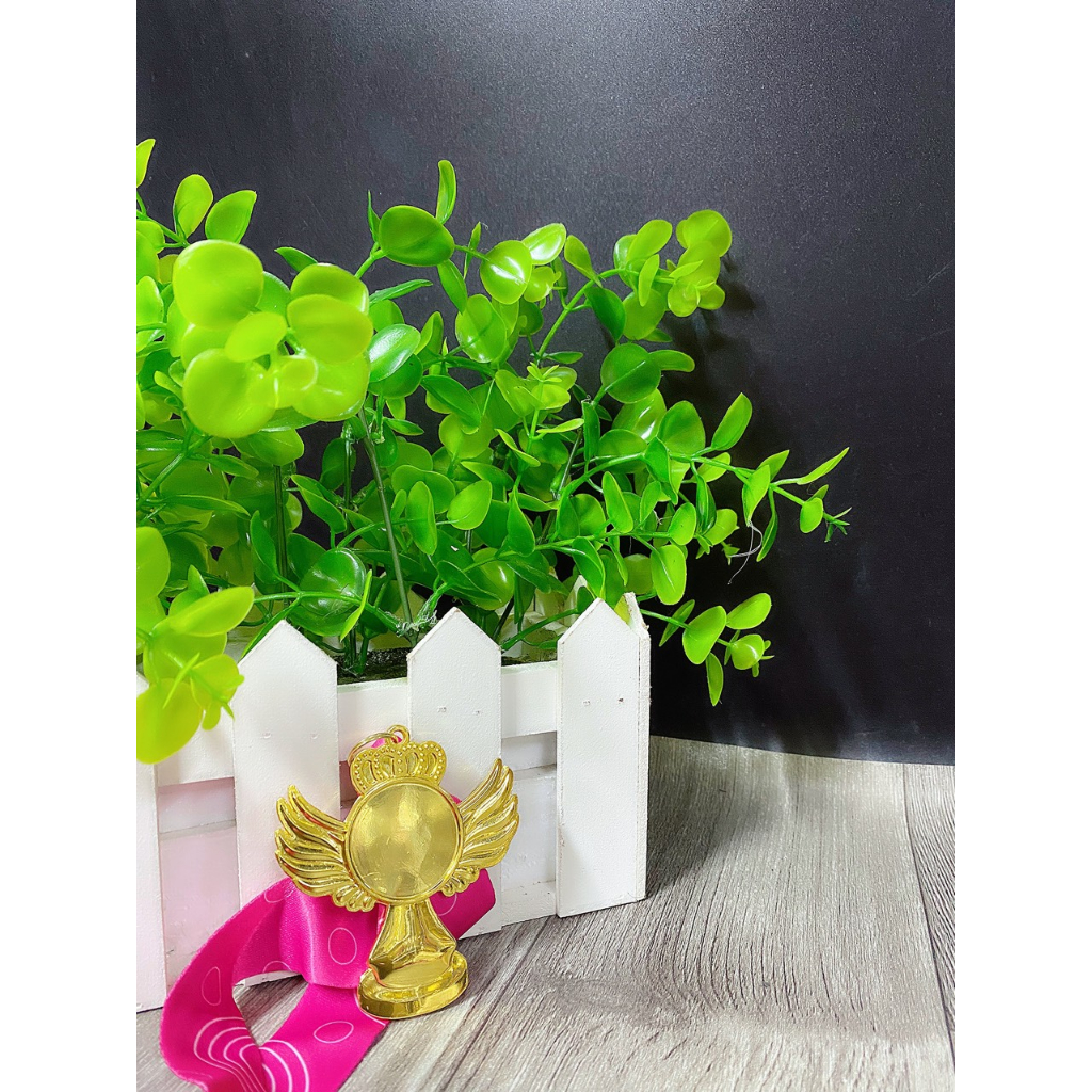 HUY CHƯƠNG DÂY LỤA HỒNG